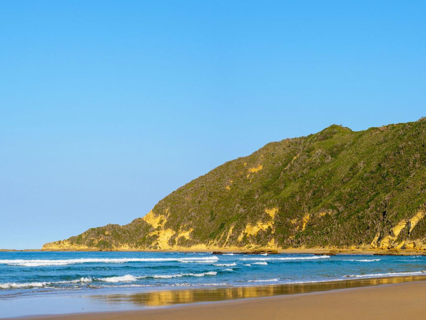 Simbavati Fynbos On Sea, Colorful, Beach, Nature, Sand