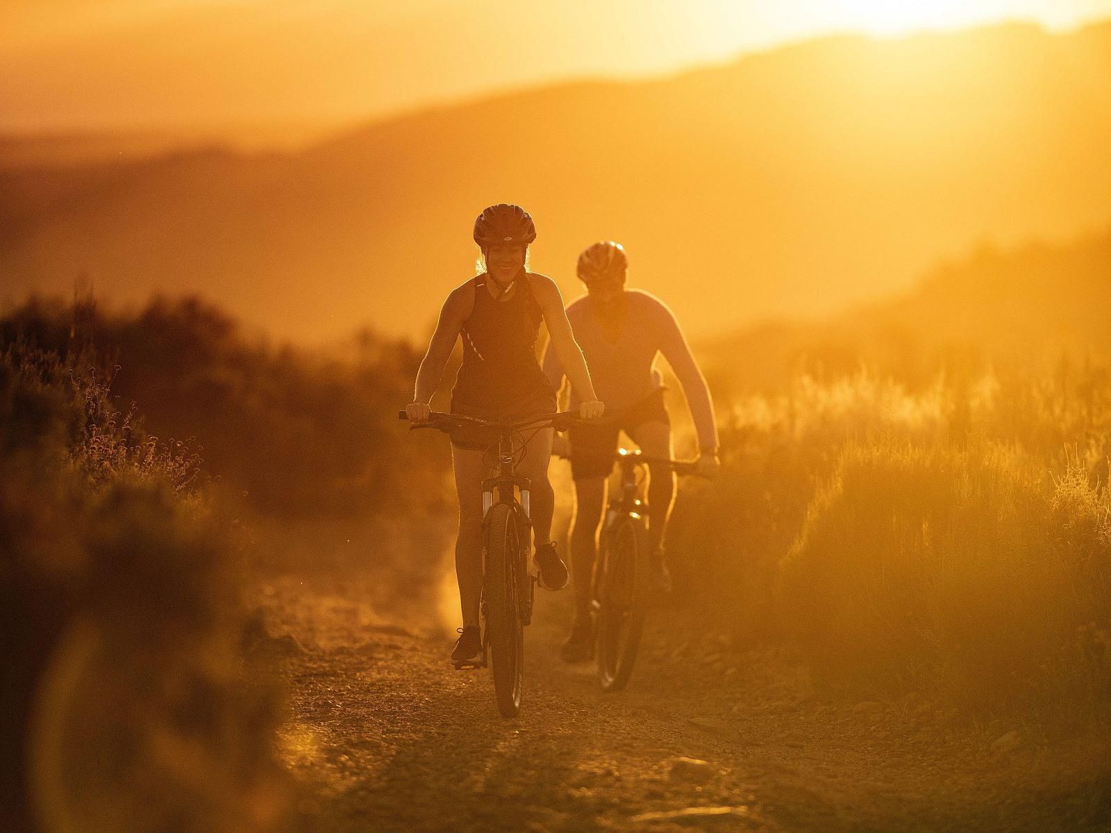 Simbavati Fynbos On Sea, Colorful, Bicycle, Vehicle, Cycling, Sport, Mountain Bike, Funsport, Sunset, Nature, Sky, Person