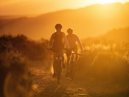 Simbavati Fynbos On Sea, Colorful, Bicycle, Vehicle, Cycling, Sport, Mountain Bike, Funsport, Sunset, Nature, Sky, Person