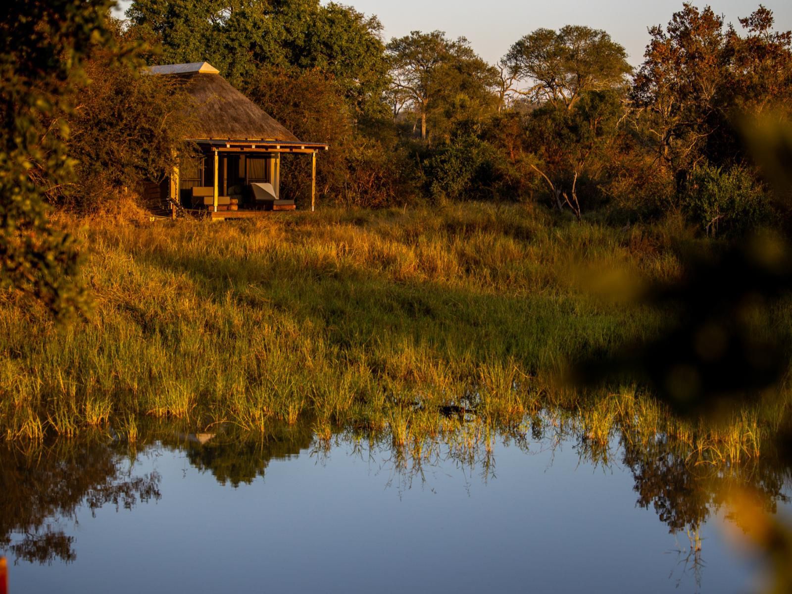 Simbavati Waterside Klaserie Private Nature Reserve Mpumalanga South Africa 