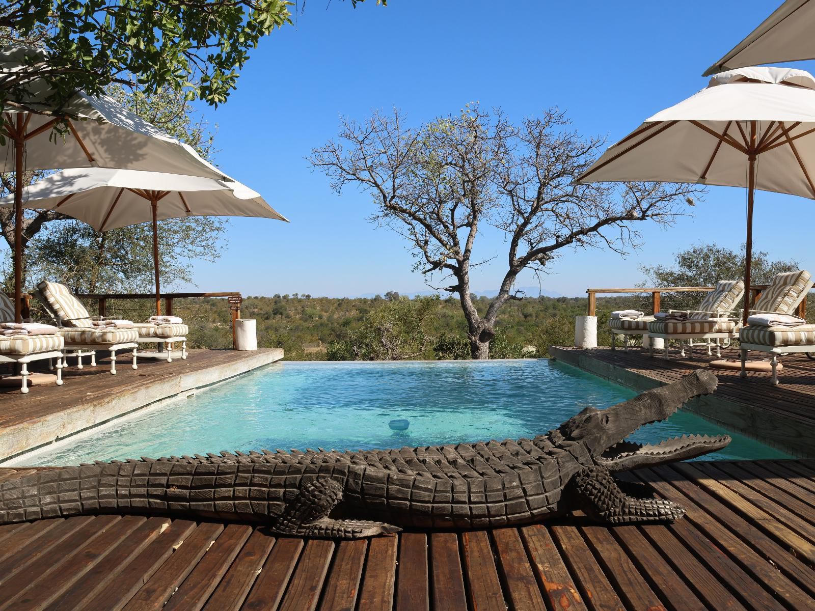Simbavati Hilltop Lodge Timbavati Reserve Mpumalanga South Africa Swimming Pool