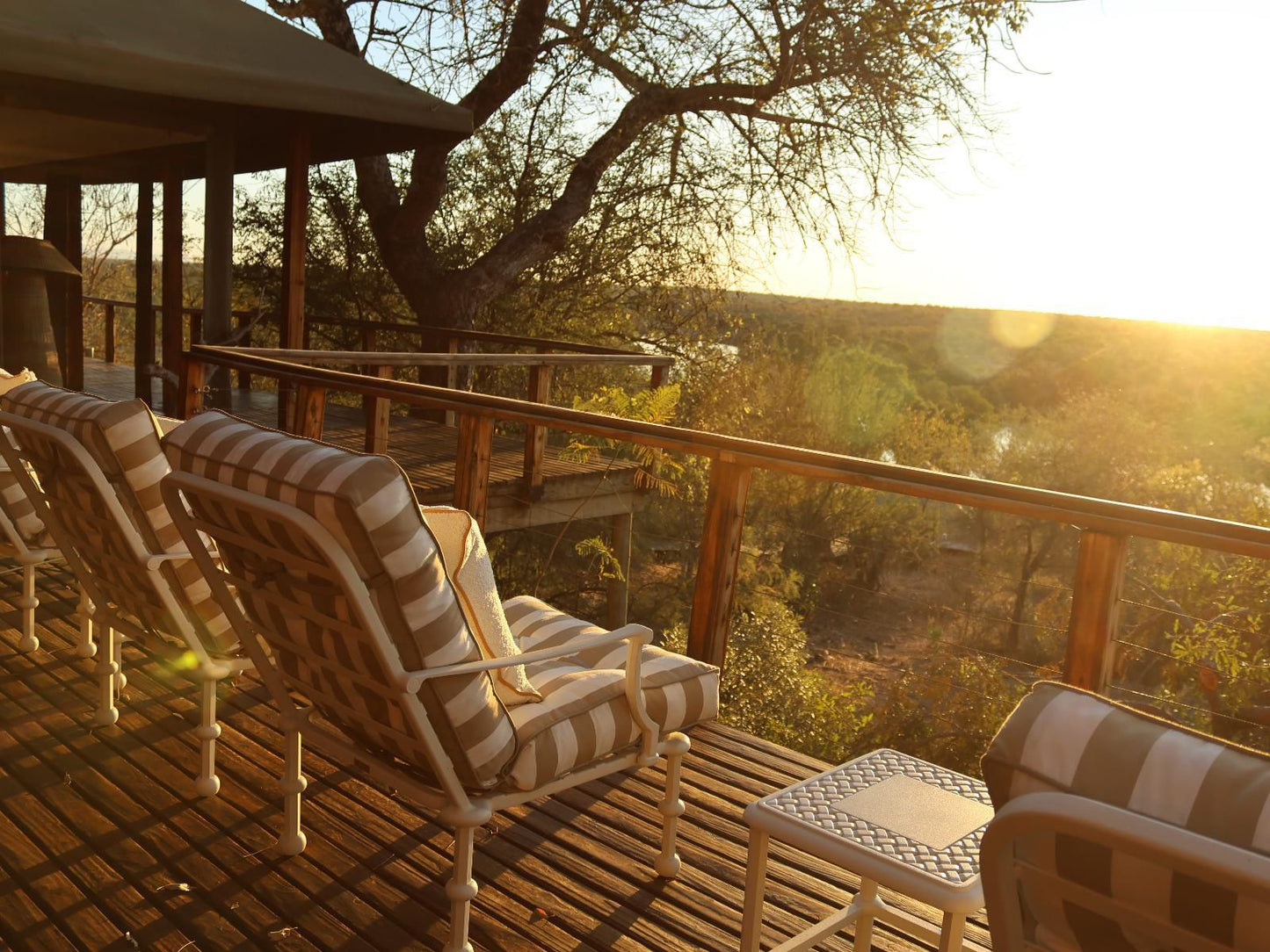 Simbavati Hilltop Lodge Timbavati Reserve Mpumalanga South Africa Sepia Tones