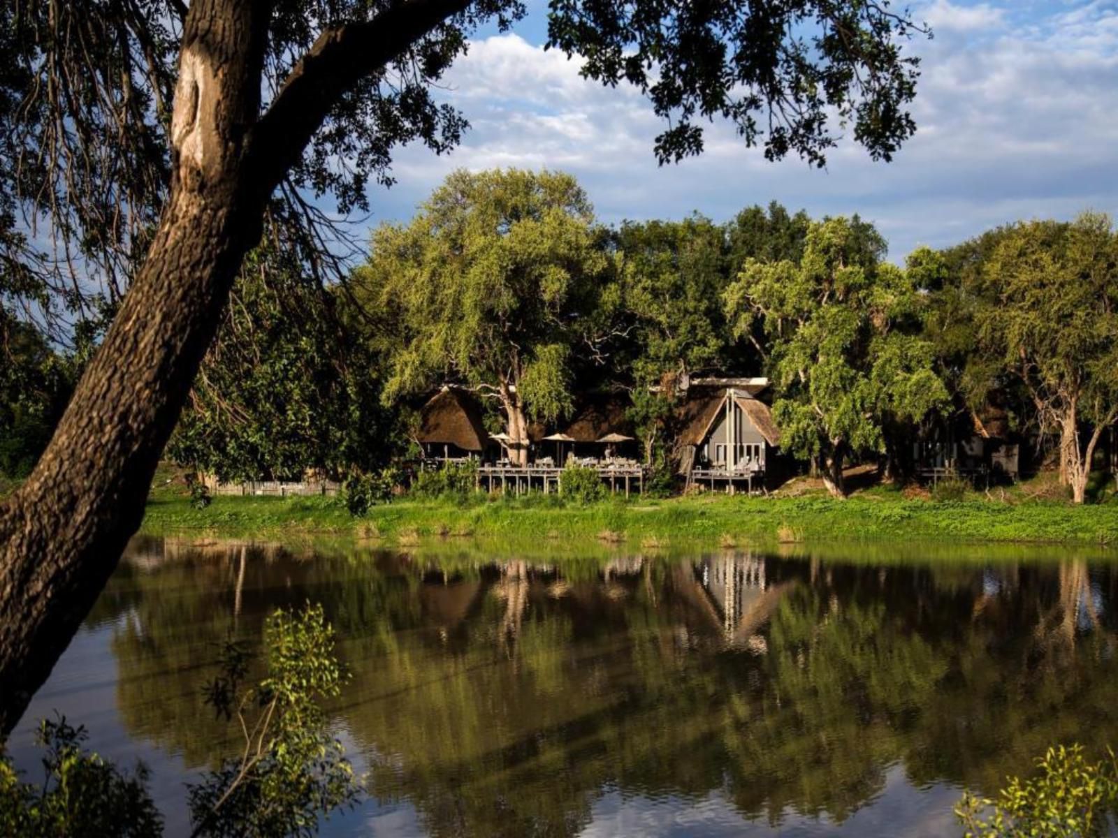 Simbavati River Lodge Timbavati Reserve Mpumalanga South Africa River, Nature, Waters, Tree, Plant, Wood