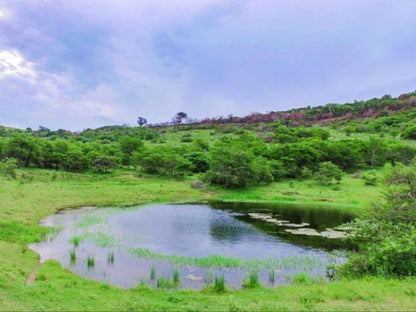 Simbonga Game Farm And Sanctuary Thornhill Port Elizabeth Eastern Cape South Africa Complementary Colors, Nature