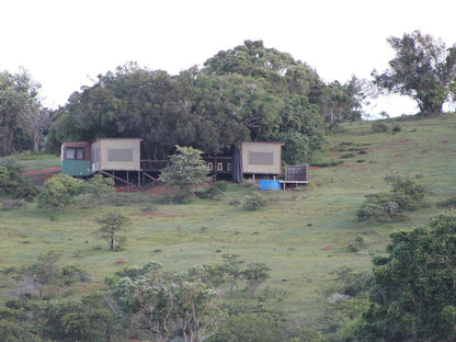 Tree House @ Simbonga Game Farm & Sanctuary