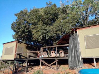 Tree House @ Simbonga Game Farm & Sanctuary