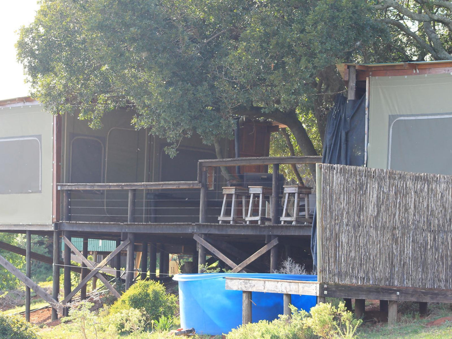 Tree House @ Simbonga Game Farm & Sanctuary