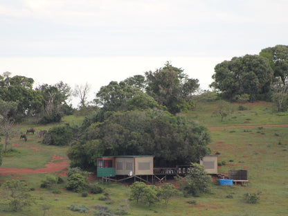 Tree House @ Simbonga Game Farm & Sanctuary