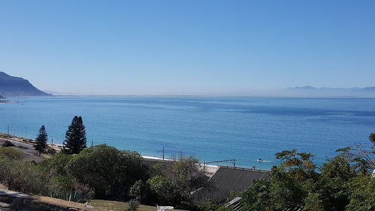 Simonsberg Heights Simons Town Cape Town Western Cape South Africa Beach, Nature, Sand, Palm Tree, Plant, Wood