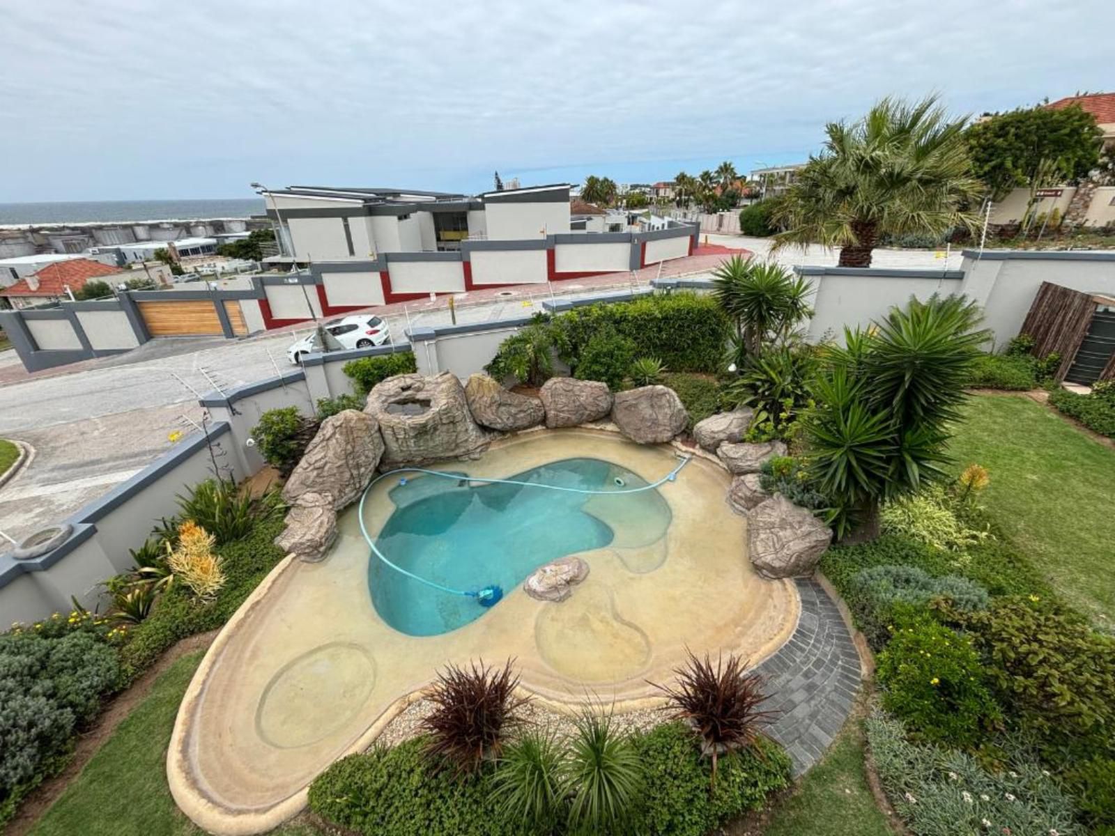 Sir Roys At The Sea, Palm Tree, Plant, Nature, Wood, Garden, Swimming Pool