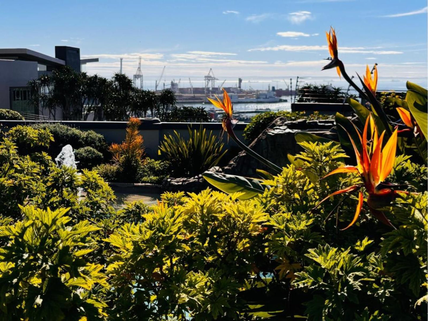 Sir Roys At The Sea, Palm Tree, Plant, Nature, Wood, Skyscraper, Building, Architecture, City, Garden