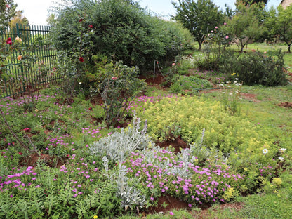 Sirimiri Cottage Dullstroom Mpumalanga South Africa Plant, Nature, Garden