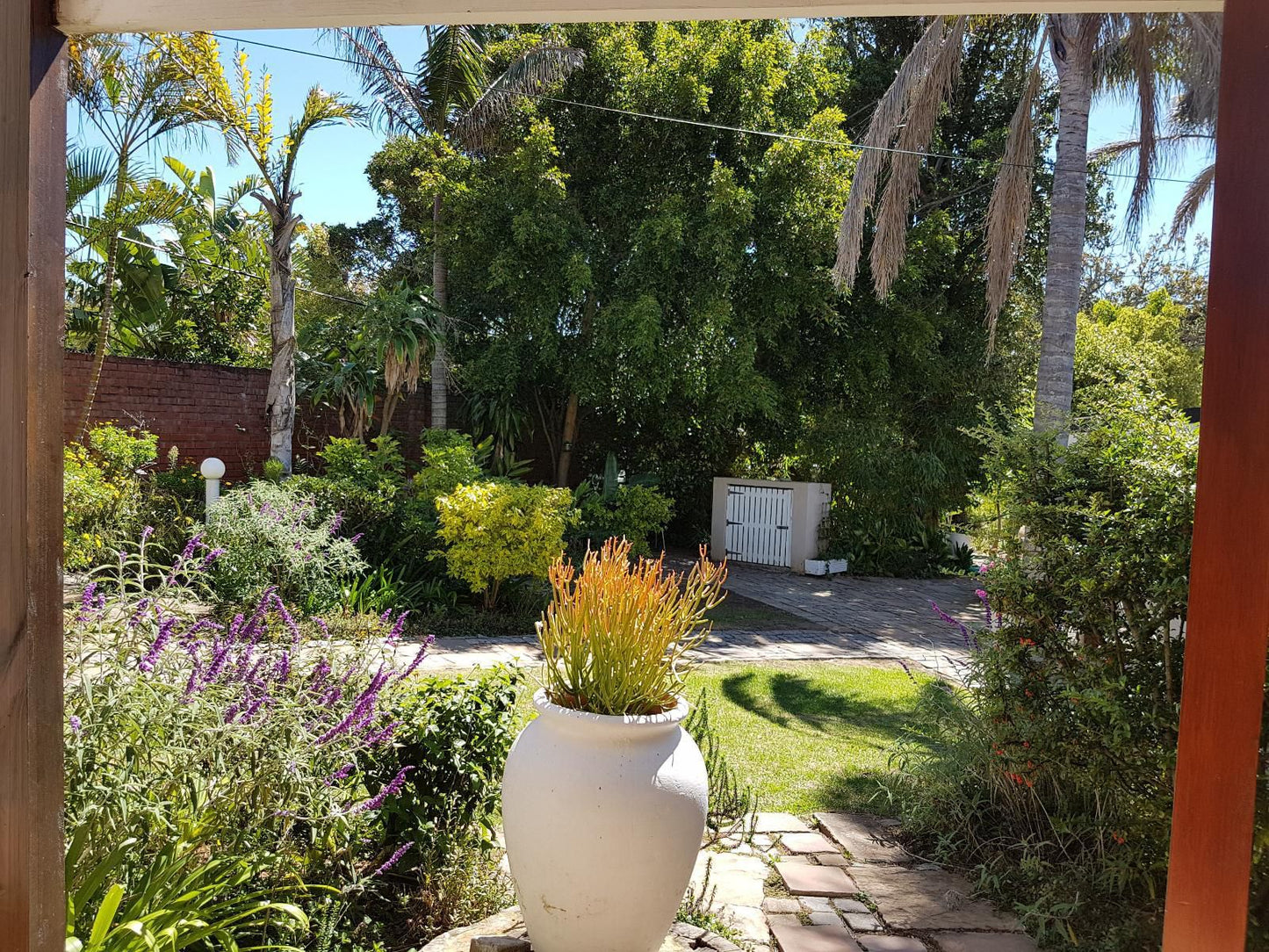 Sir Roy S Guest House Walmer Port Elizabeth Eastern Cape South Africa Palm Tree, Plant, Nature, Wood, Garden