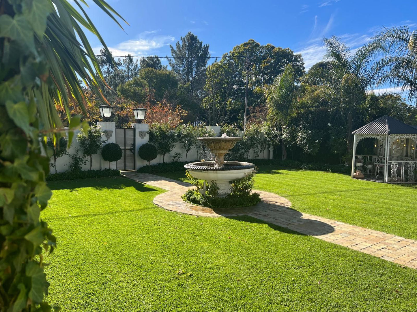 Six On Reinecke Guesthouse Ceres Western Cape South Africa Palm Tree, Plant, Nature, Wood, Garden