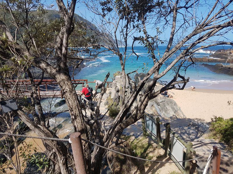 60 Santini Village Plettenberg Bay Plettenberg Bay Western Cape South Africa Beach, Nature, Sand, Island, Palm Tree, Plant, Wood, Framing