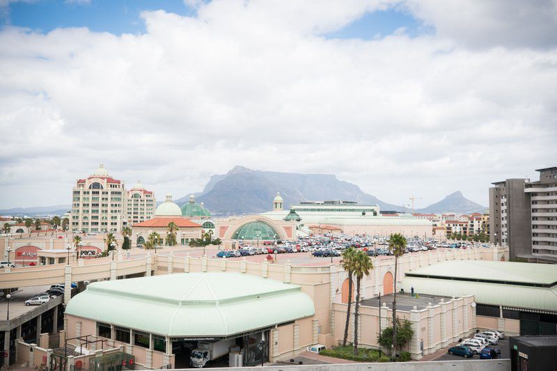 Sjk Travel And Accommodation Century City Cape Town Western Cape South Africa Palm Tree, Plant, Nature, Wood, Skyscraper, Building, Architecture, City