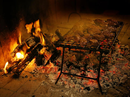 Skeiding Guest Farm Heidelberg Wc Western Cape South Africa Colorful, Fire, Nature, Meat, Food