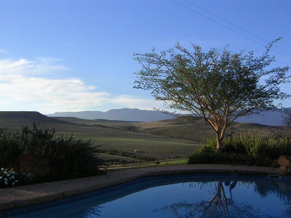 Skeiding Guest Farm Heidelberg Wc Western Cape South Africa Nature, Swimming Pool