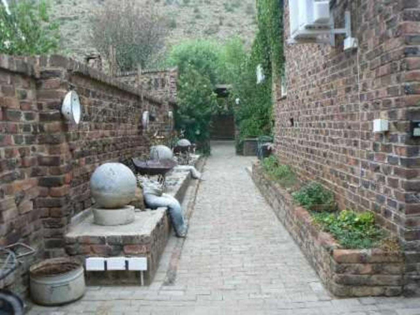 Skietberg Lodge Colesberg Northern Cape South Africa Unsaturated, Cactus, Plant, Nature, Brick Texture, Texture, Garden