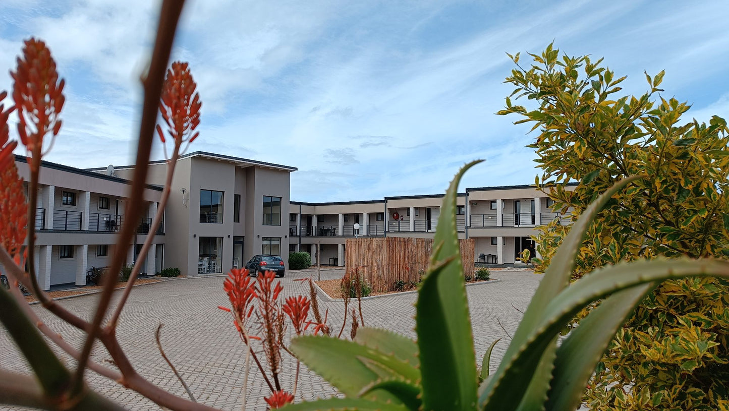 Skipskop Guest House Saldanha Western Cape South Africa Complementary Colors, House, Building, Architecture, Palm Tree, Plant, Nature, Wood