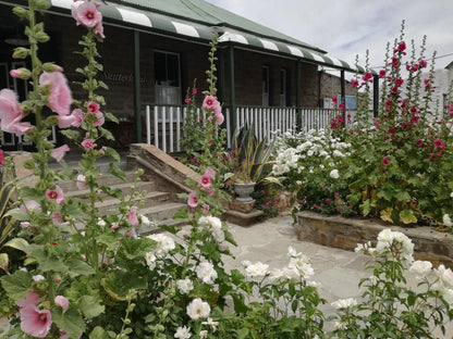 Skitterland Guesthouse Sutherland Northern Cape South Africa Garden, Nature, Plant