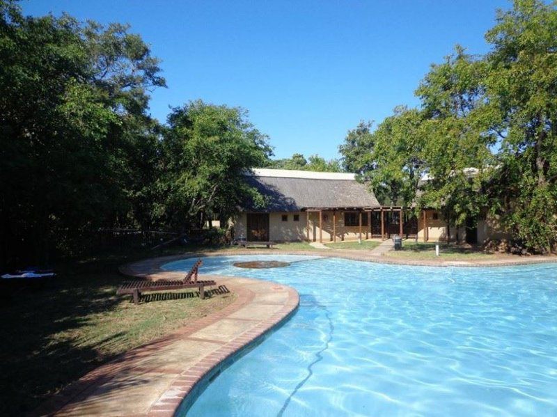 Skukuza Rest Camp Kruger National Park Sanparks South Kruger Park Mpumalanga South Africa Swimming Pool