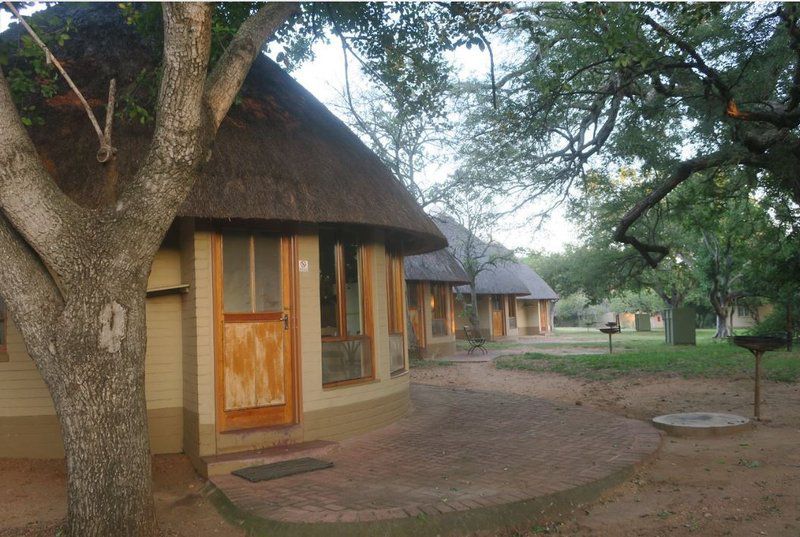 Skukuza Rest Camp Kruger National Park Sanparks South Kruger Park Mpumalanga South Africa 