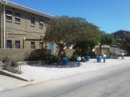 Skulpies Accommodation Strandfontein Western Cape South Africa House, Building, Architecture, Palm Tree, Plant, Nature, Wood, Window