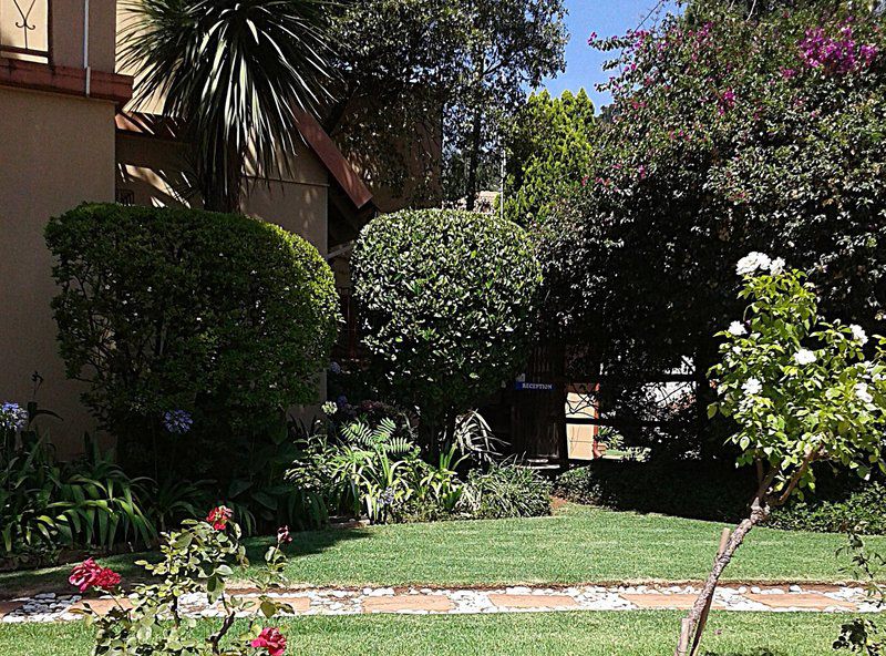 Sky Blue Bnb Bedfordview Johannesburg Gauteng South Africa House, Building, Architecture, Palm Tree, Plant, Nature, Wood, Garden