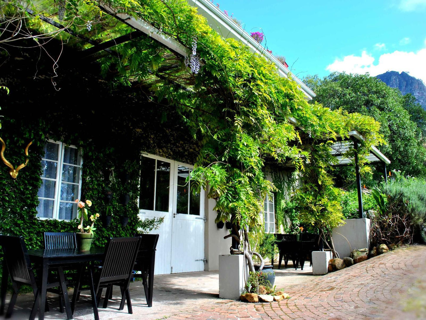 Skyview Manor Kylemore Stellenbosch Western Cape South Africa House, Building, Architecture, Plant, Nature, Tree, Wood, Garden