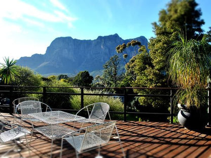 Skyview Manor Kylemore Stellenbosch Western Cape South Africa Complementary Colors, Palm Tree, Plant, Nature, Wood, Framing