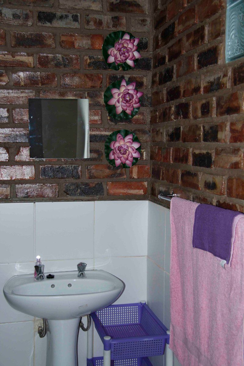 Slaap N Biekie Baltimore Limpopo Province South Africa Wall, Architecture, Bathroom, Brick Texture, Texture