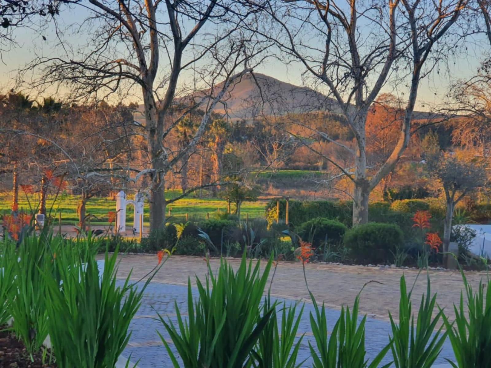 Slaley Country House Stellenbosch Western Cape South Africa Garden, Nature, Plant