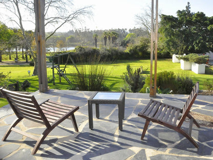 Slaley Country House Stellenbosch Western Cape South Africa Palm Tree, Plant, Nature, Wood