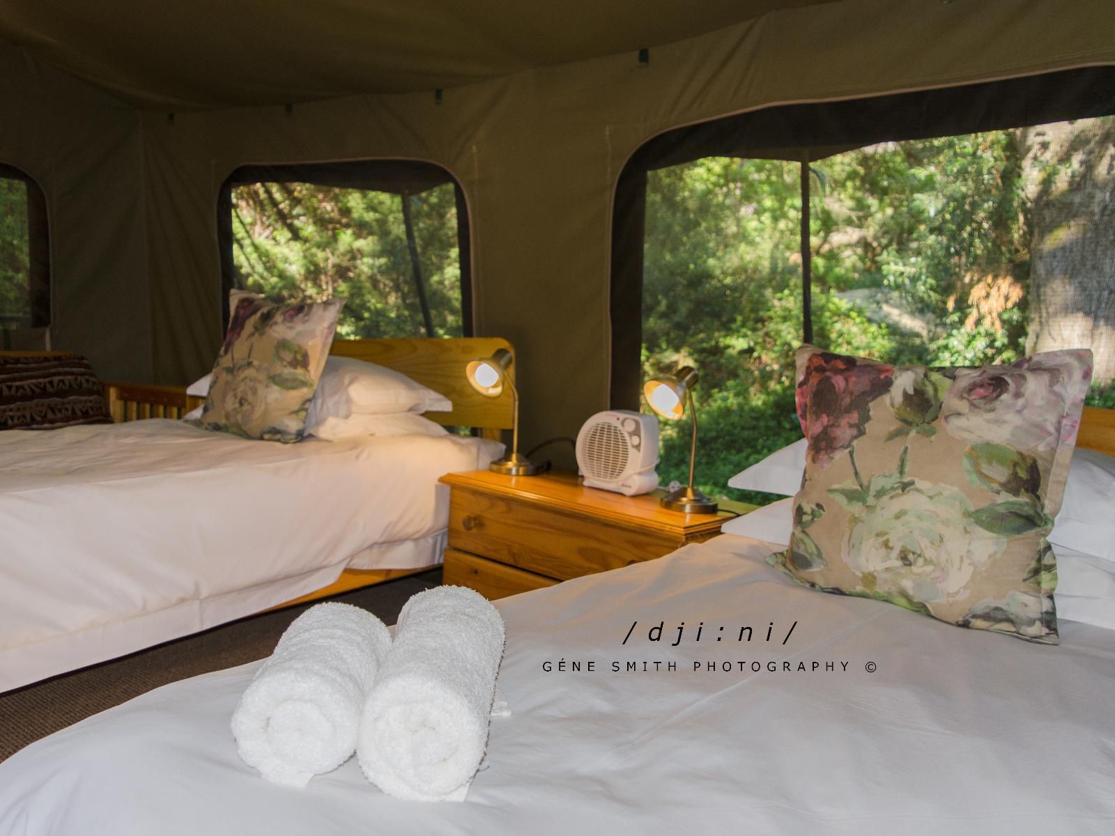 Slanghoek Mountain Resort Rawsonville Western Cape South Africa Tent, Architecture, Bedroom