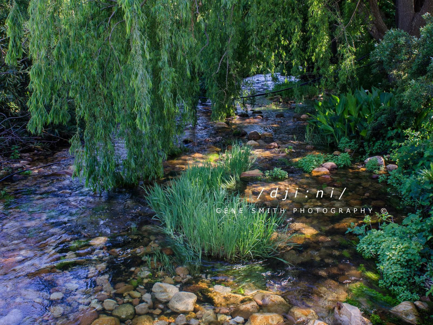 Slanghoek Mountain Resort Rawsonville Western Cape South Africa River, Nature, Waters, Garden, Plant