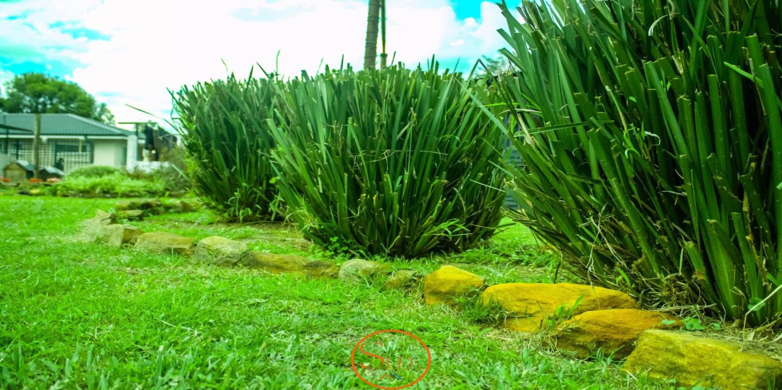 Slee Guest House, Colorful, Field, Nature, Agriculture