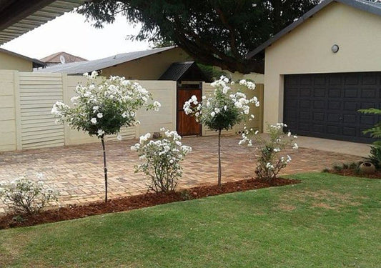 Sleep On 7Th Quellerina Johannesburg Gauteng South Africa House, Building, Architecture, Plant, Nature, Garden