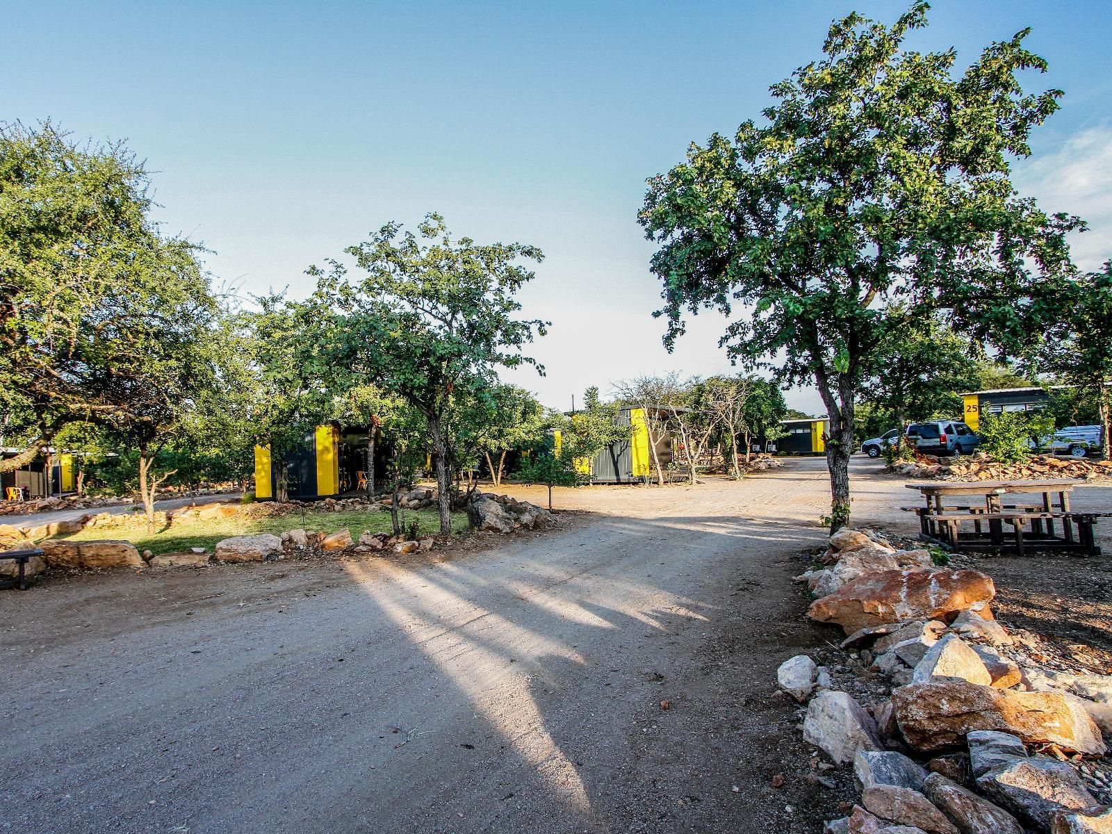 Sleepover Beitbridge, Palm Tree, Plant, Nature, Wood, Tree