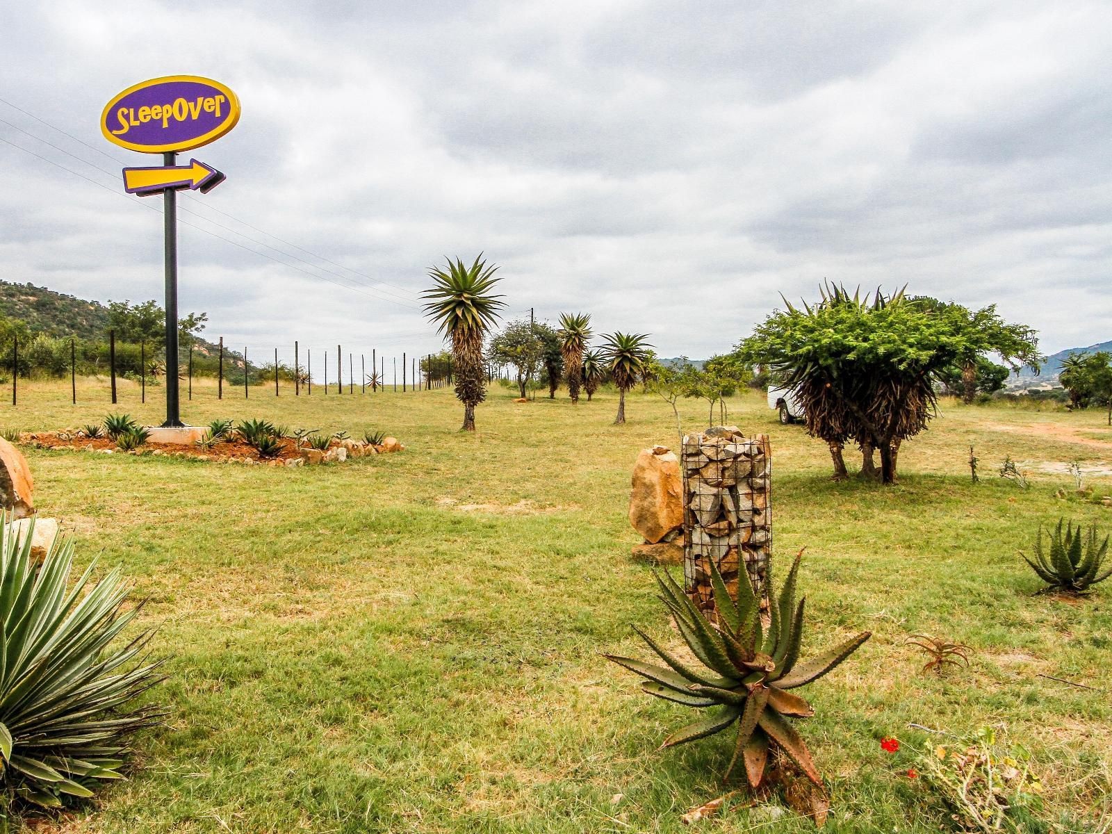 Sleepover Moria Haenertsburg Limpopo Province South Africa Palm Tree, Plant, Nature, Wood