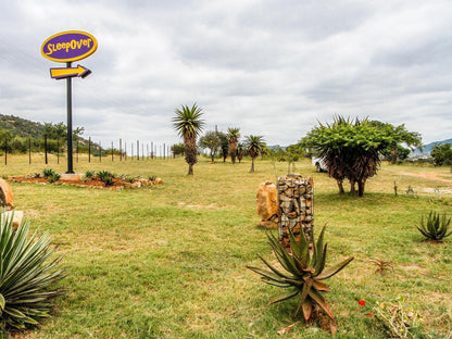 Sleepover Moria Haenertsburg Limpopo Province South Africa Palm Tree, Plant, Nature, Wood