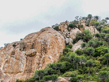 Sleepover Matoks Mphakane Limpopo Province South Africa Cliff, Nature, Stone Texture, Texture