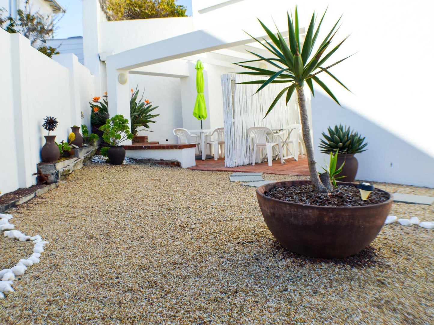 Small Bay Guest House Bloubergstrand Blouberg Western Cape South Africa Plant, Nature, Garden
