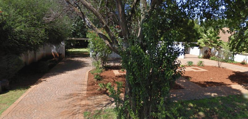 Smiling Tree Guesthouse Carltonville Carletonville Gauteng South Africa Plant, Nature, Tree, Wood, Garden