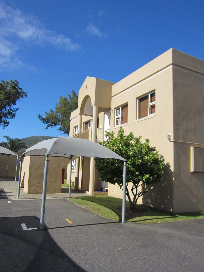 Smithland Guest Apartments Pty Ltd Parow North Cape Town Western Cape South Africa House, Building, Architecture, Palm Tree, Plant, Nature, Wood