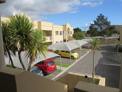 Smithland Guest Apartments, Palm Tree, Plant, Nature, Wood, Car, Vehicle