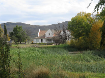 Sneeuberg Nature Reserve