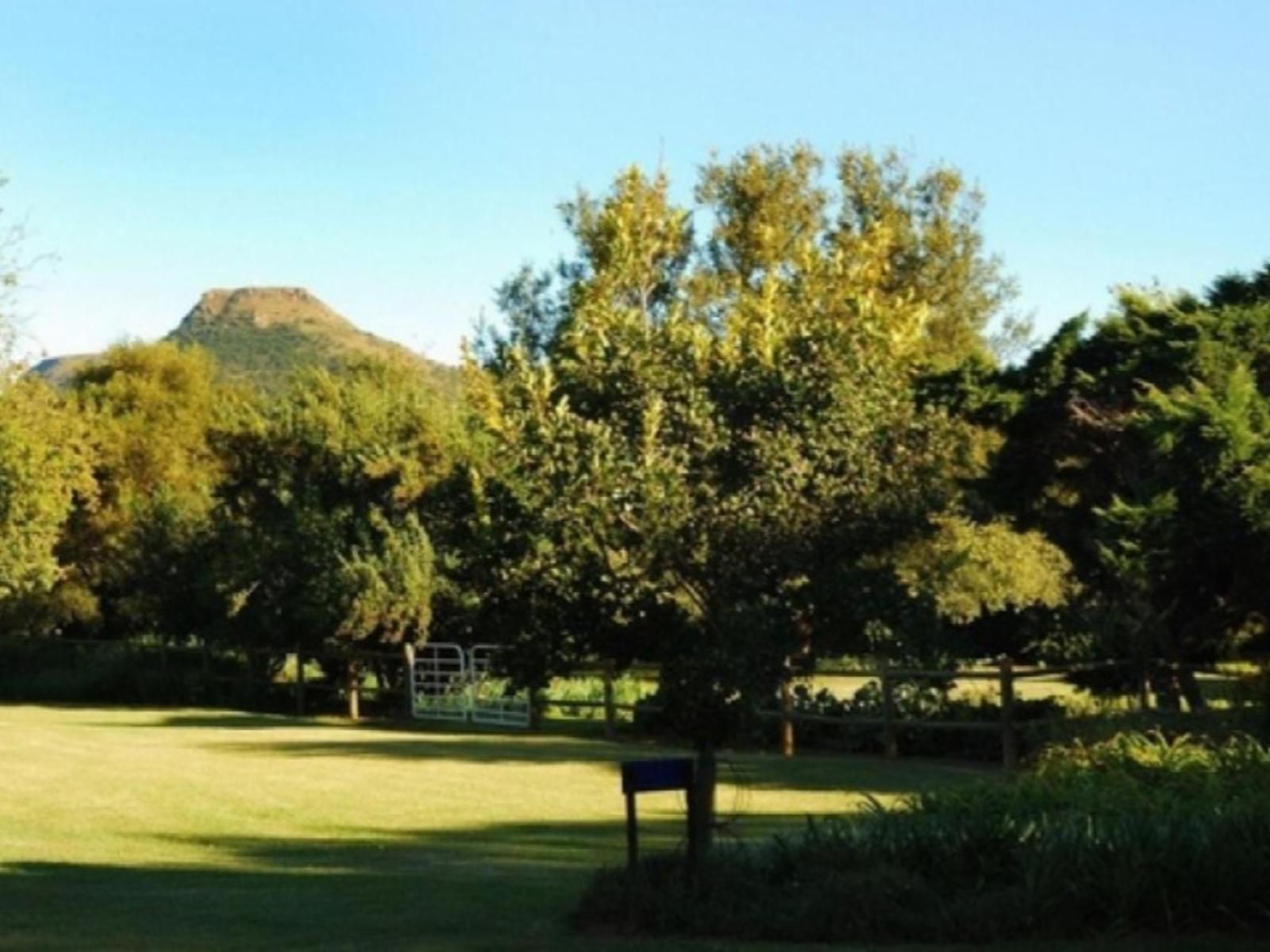 Sneezewood Farm Bandb Dundee Kwazulu Natal South Africa Complementary Colors, Nature