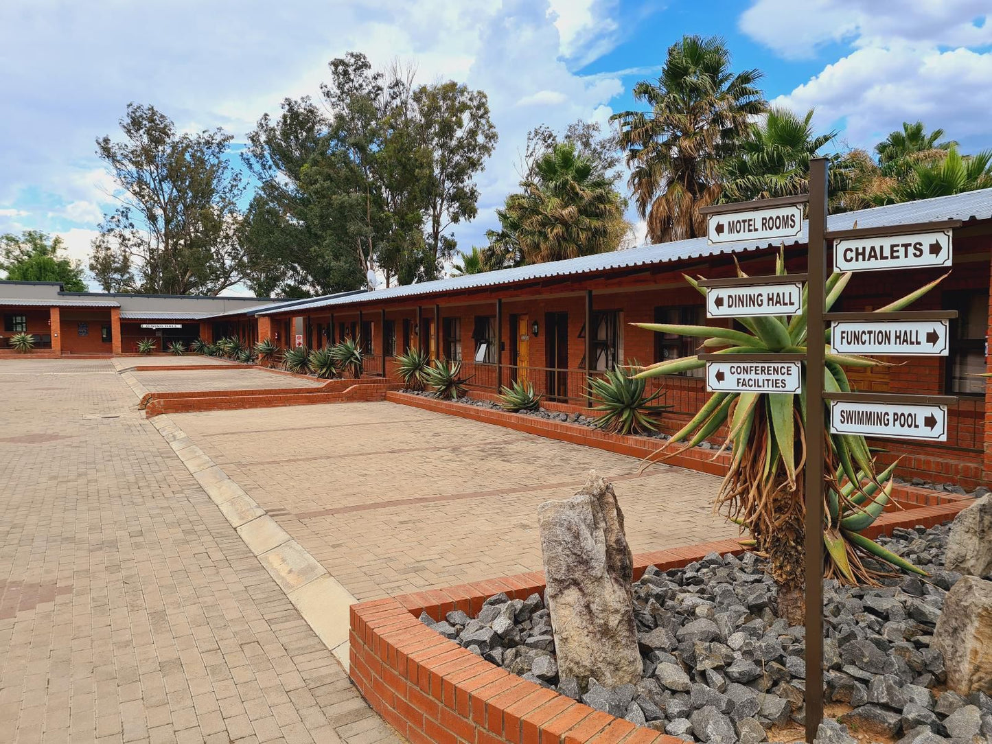 Snips Accommodation Newcastle Central Newcastle Kwazulu Natal South Africa Complementary Colors, Palm Tree, Plant, Nature, Wood