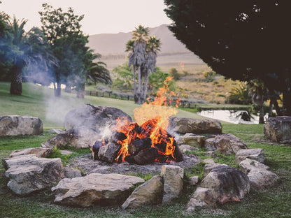 Soaring Eagles Guest Lodge Napier Western Cape South Africa Fire, Nature